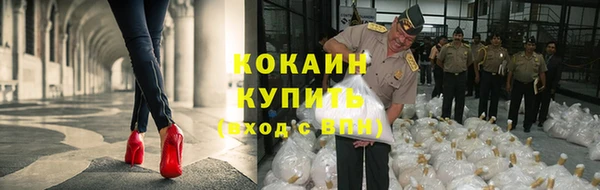 PSILOCYBIN Аркадак