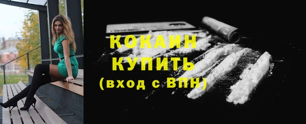 PSILOCYBIN Аркадак