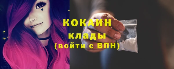 прущая мука Арсеньев