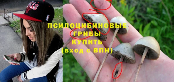 PSILOCYBIN Аркадак