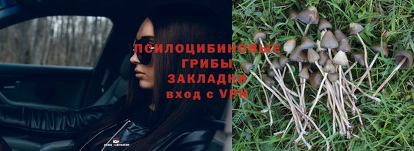 прущая мука Арсеньев