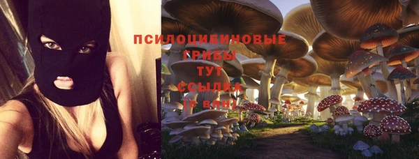 дживик Армянск