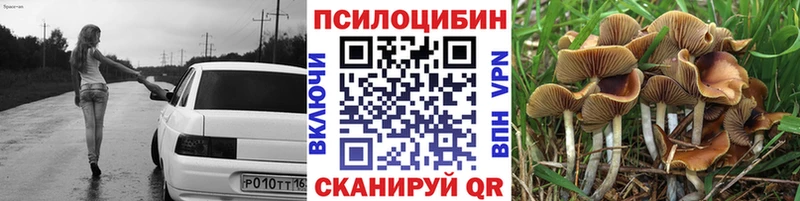 сколько стоит  darknet формула  Галлюциногенные грибы мухоморы  Краснослободск 